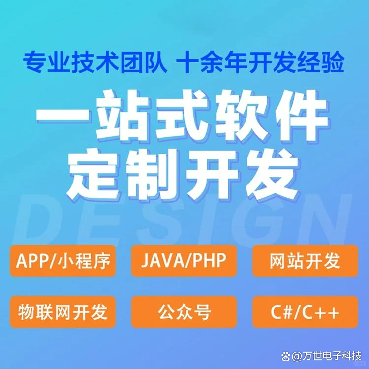 武威软件开发